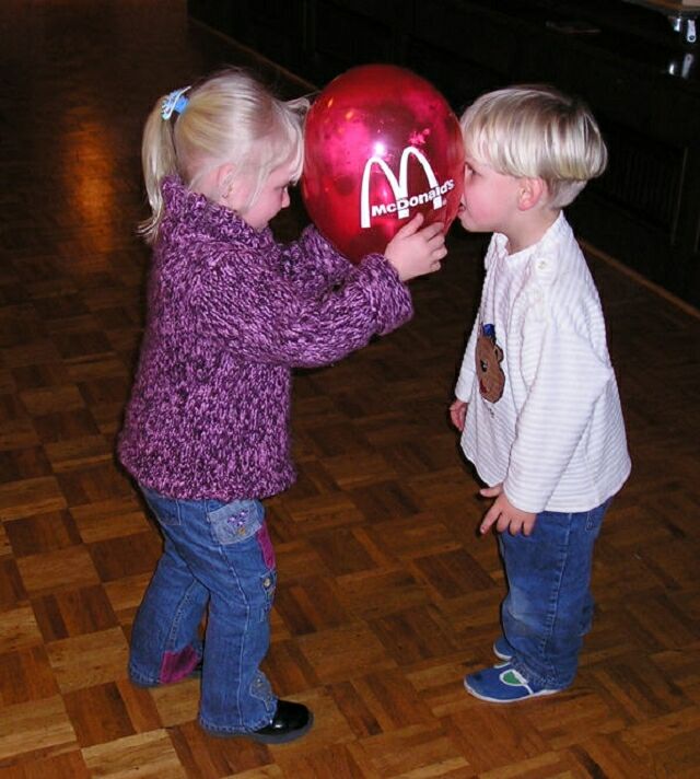 Bild 36